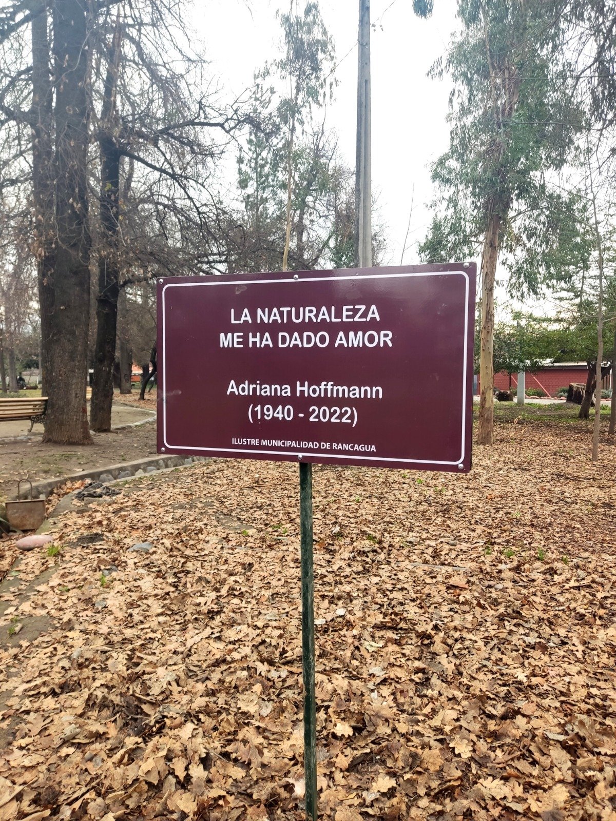 Placa con la frase «La naturaleza me ha dado amor», dedicada a Adriana Hoffmann, entre árboles y hojas caídas.